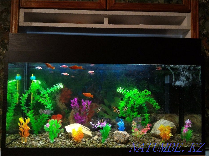 NEW Aquariums 24 48 69 l with fish and empty with lid and light Almaty - photo 1