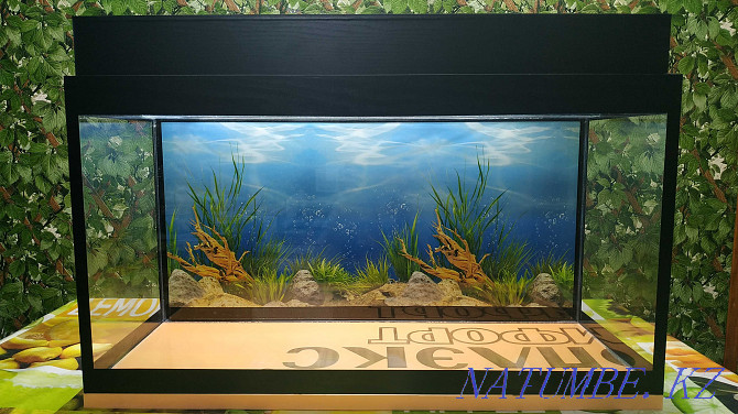 NEW Aquariums 24 48 69 l with fish and empty with lid and light Almaty - photo 4