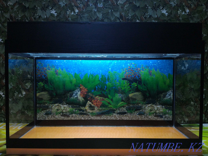 NEW Aquariums 24 48 69 l with fish and empty with lid and light Almaty - photo 6