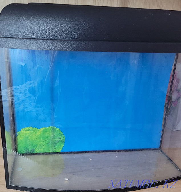 fish aquarium for sale Aqsay - photo 1