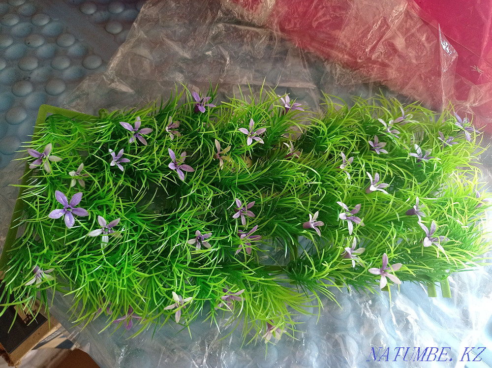 Травка для аквариума 500 тг Астана - изображение 1