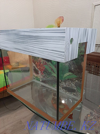 18l aquarium for sale Qaskeleng - photo 1