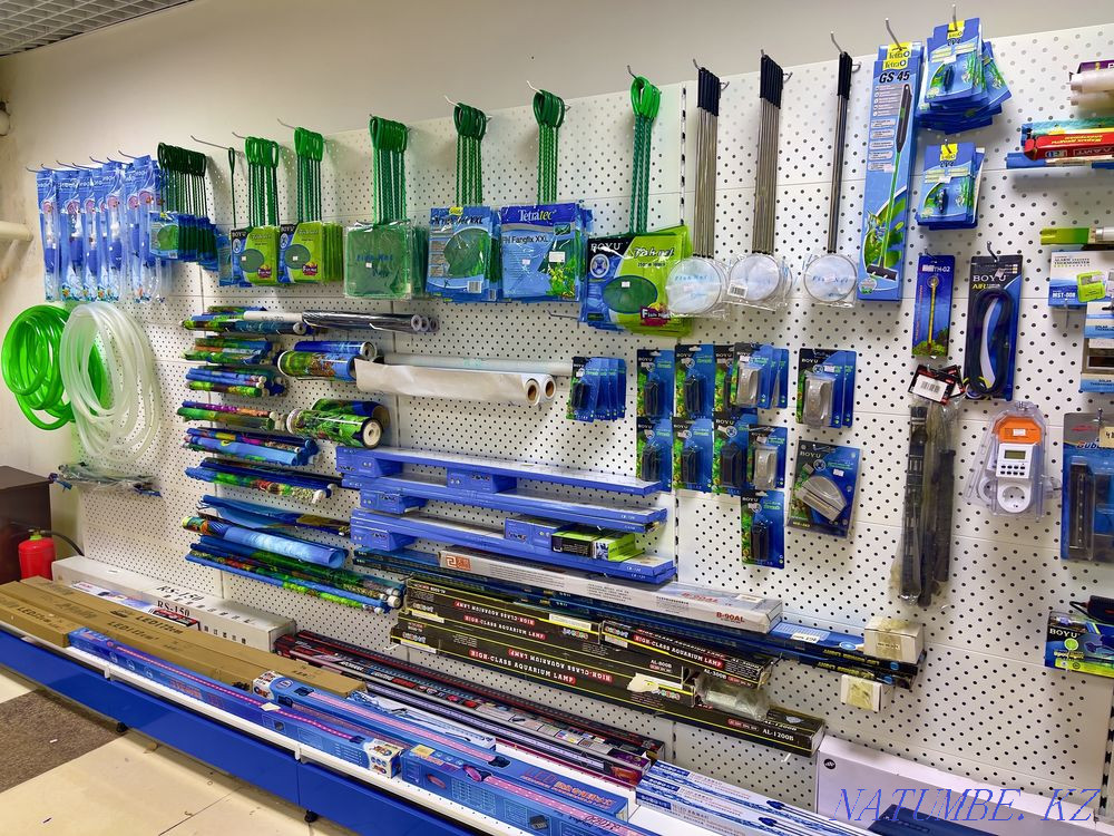 Siphon AquaReef for an aquarium in a pet store "LIVOY WORLD" Almaty - photo 3