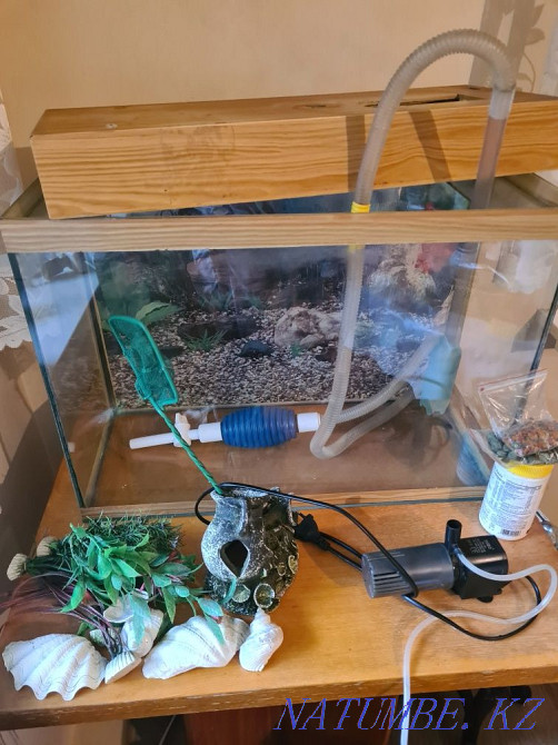 Продаю аквариум на 60 литров Алматы - изображение 1