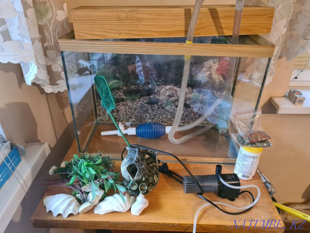 Продаю аквариум на 60 литров Алматы - изображение 2