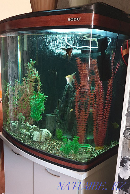 Aquarium 350 liters Aqtau - photo 2