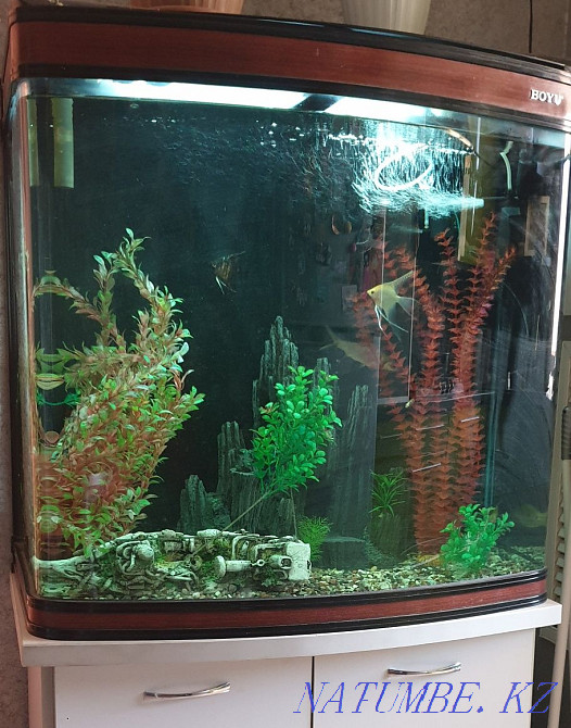 Aquarium 350 liters Aqtau - photo 1