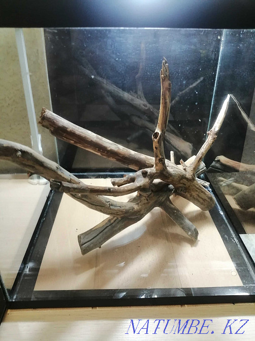 Коряга для аквариума.  - изображение 1