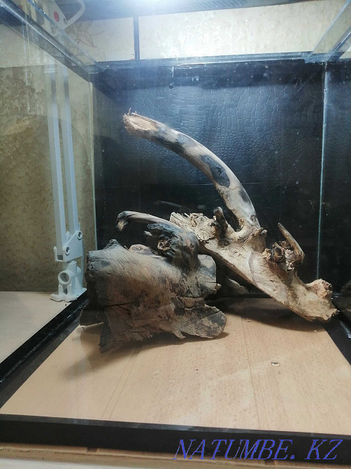 Коряга для аквариума.  - изображение 5