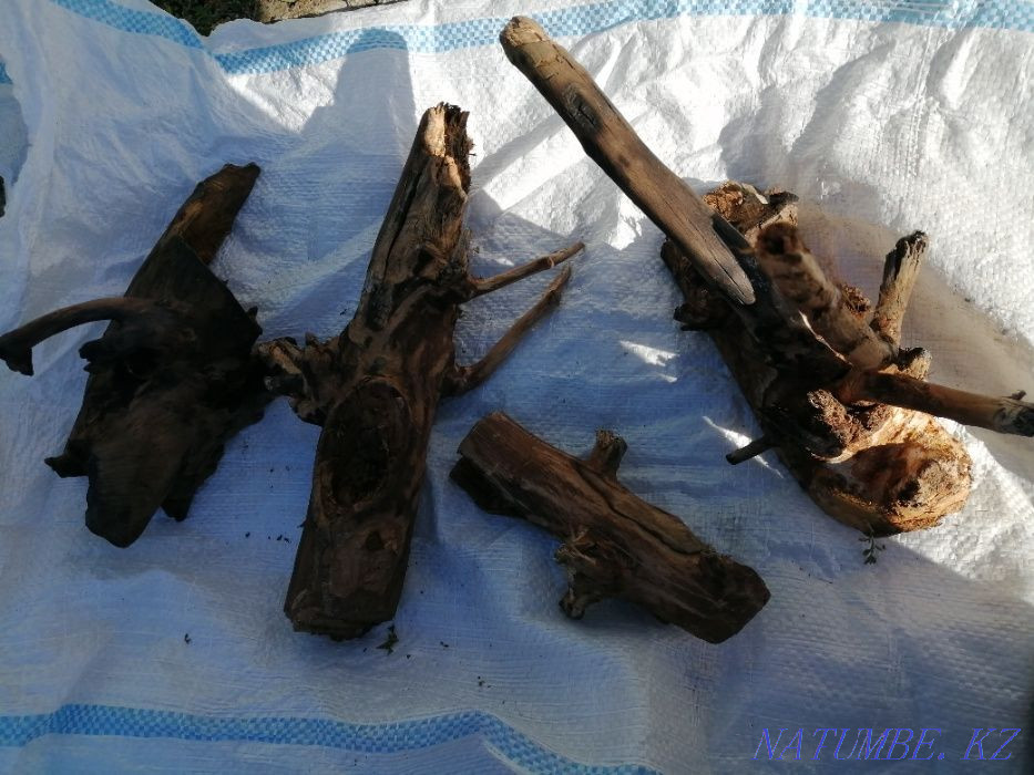 Аквариумдағы дрифт ағашы.  - изображение 7