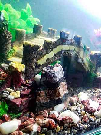 Декорирование и установка аквариумов Шымкент