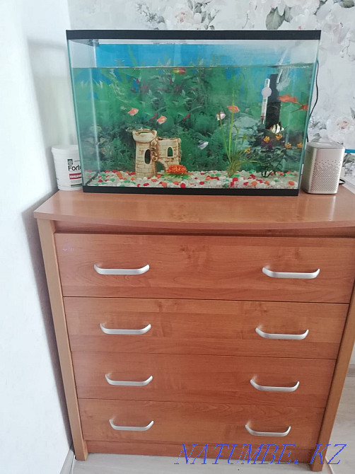 Selling an aquarium! Ust-Kamenogorsk - photo 1