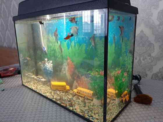 Продам аквариум  Орал