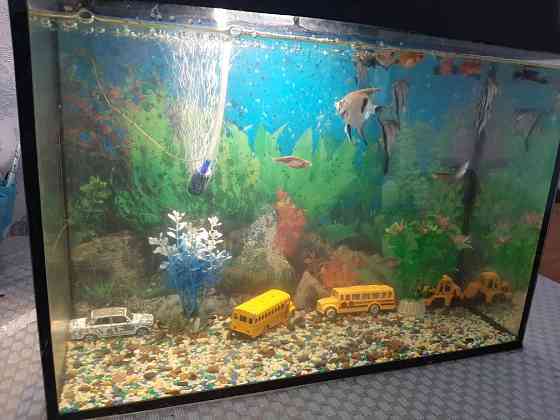 Продам аквариум  Орал
