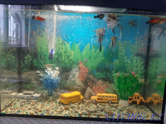 Sell aquarium Oral - photo 2