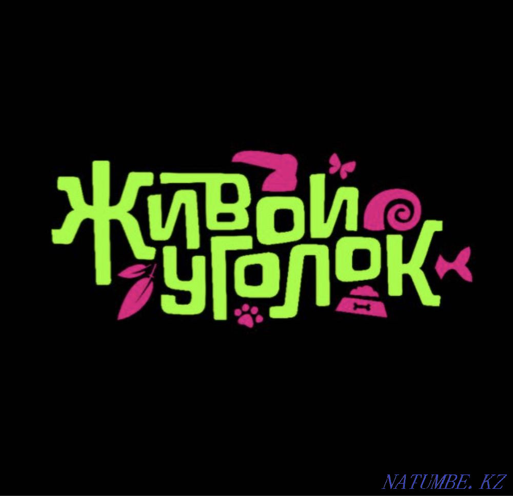 Аквариумные рыбы на заказ в "ЖИВОМ УГОЛКЕ" в Таугуле! Алматы - изображение 7