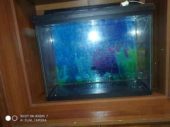 Продам аквариум в хорошем состояние ш 60в 47 г26 Алматы