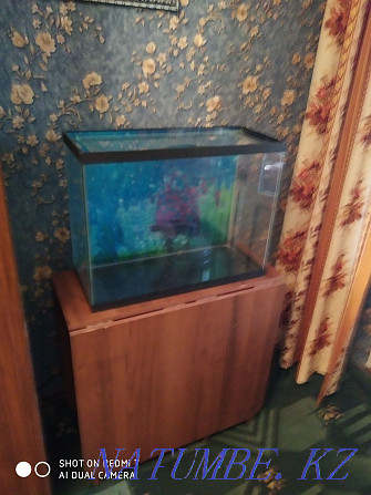 Selling an aquarium in good condition w 60v 47 g26 Almaty - photo 3