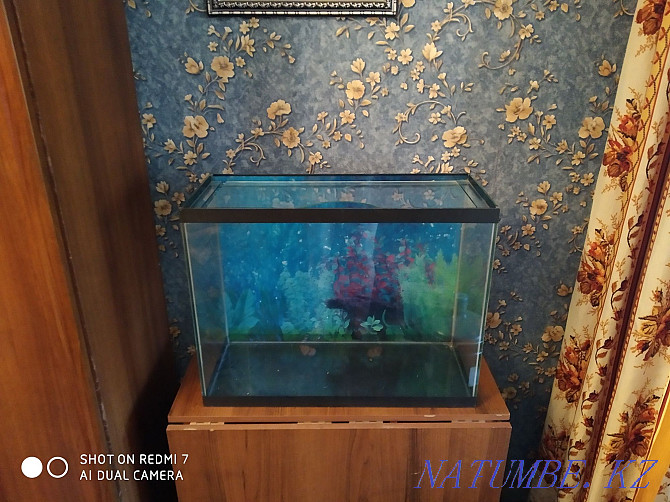 Selling an aquarium in good condition w 60v 47 g26 Almaty - photo 2