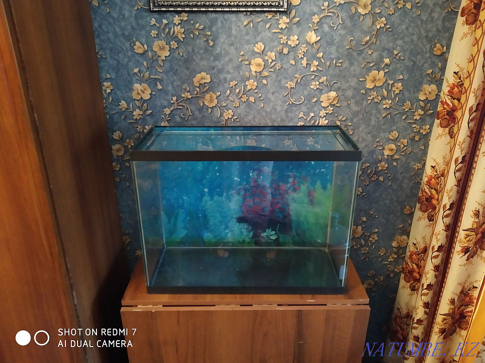 Продам аквариум в хорошем состояние ш 60в 47 г26 Алматы - изображение 2