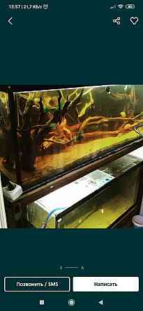 Обслуживание аквариумов Актобе