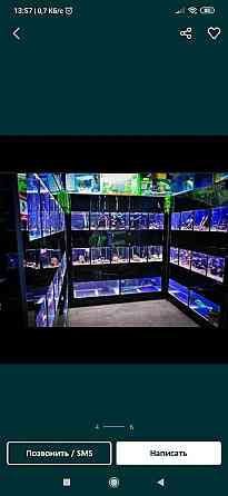 Обслуживание аквариумов Актобе