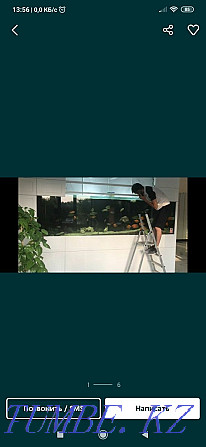 Обслуживание аквариумов Актобе - изображение 1