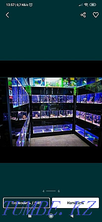Обслуживание аквариумов Актобе - изображение 4
