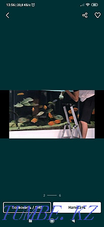 Обслуживание аквариумов Актобе - изображение 2