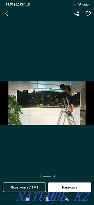 Aquarium Maintenance Aqtobe - photo 1