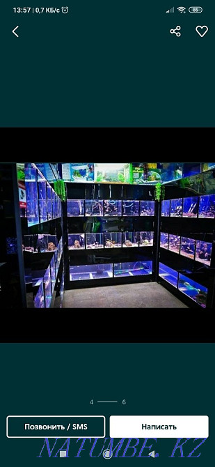 Aquarium Maintenance Aqtobe - photo 4