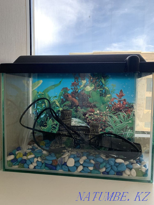 продам аквариум Астана - изображение 1
