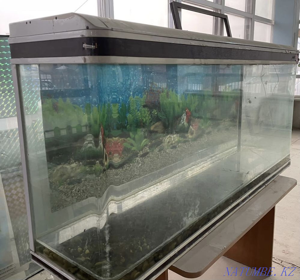 Продам Акварум Астана - изображение 1