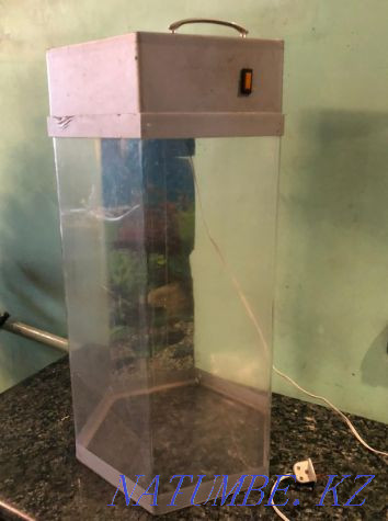 Аквариум 50 литров . Алматы - изображение 3