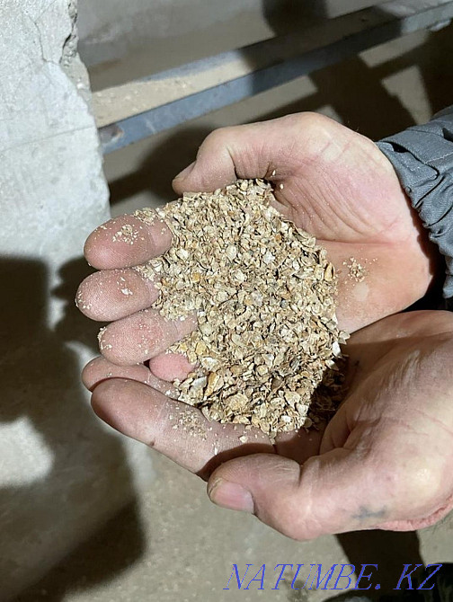 Shell Karagandy - photo 1