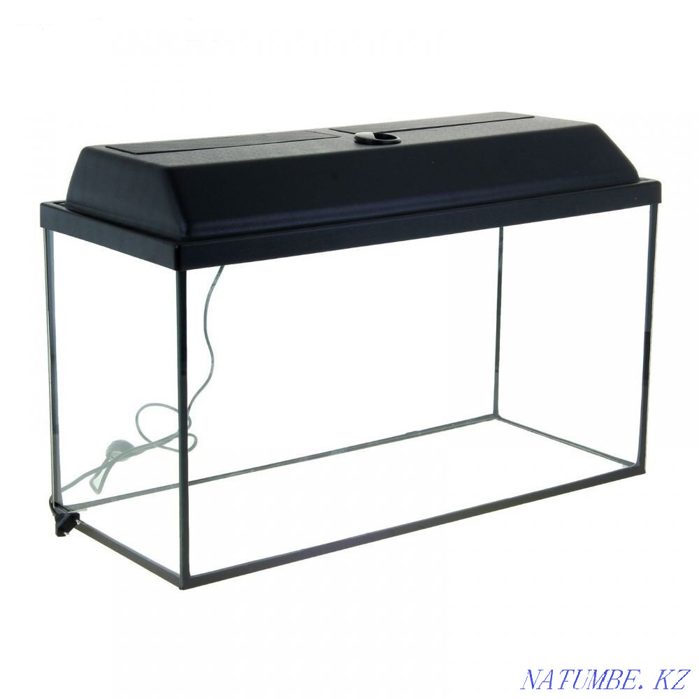 Аквариумы в Живом мире Алматы - изображение 3