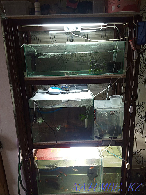 aquarium shelf for sale Almaty - photo 2