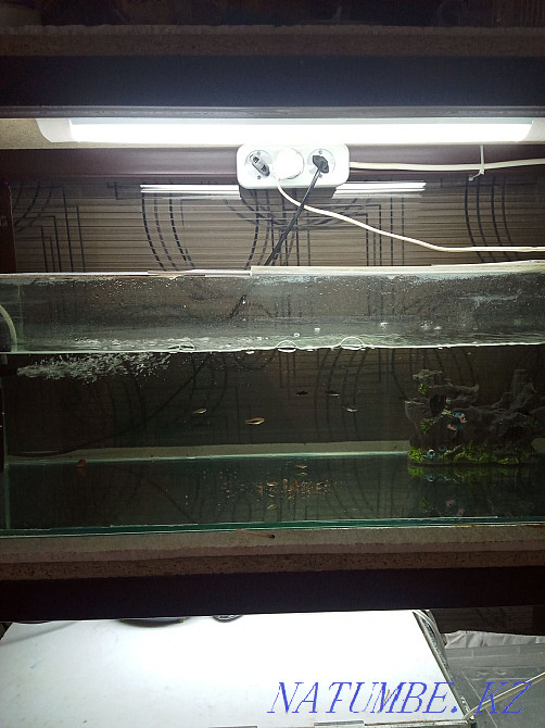 aquarium shelf for sale Almaty - photo 1