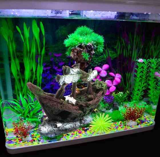 Продажа аквариумных декораций в Аква- Зоо салоне " Посейдон"!!!  Өскемен