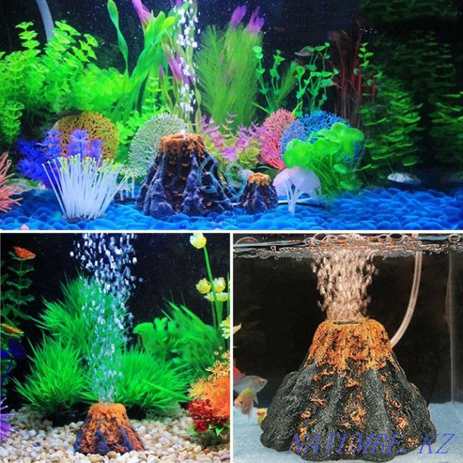 Implementar grado Empeorando Sale of aquarium decorations in the Aqua-Zoo salon " Poseidon "!!! in  Ust-Kamenogorsk - №1