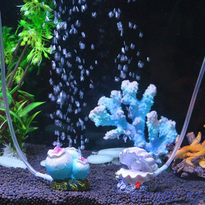 Aqua-Zoo салонында аквариум әшекейлерін сату " Посейдон "!!!  Өскемен - изображение 5