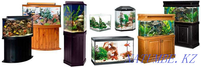 Aquariums to order INDIVIDUALLY in the pet store "LIVOY WORLD" Almaty - photo 4