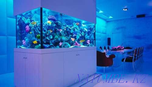 Aquariums to order INDIVIDUALLY in the pet store "LIVOY WORLD" Almaty - photo 3