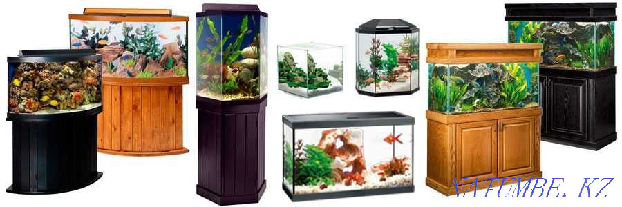 Aquariums to order INDIVIDUALLY in the pet store "LIVOY WORLD" Almaty - photo 4