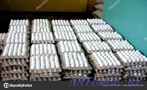 Sell duck hatching eggs Almaty - photo 1