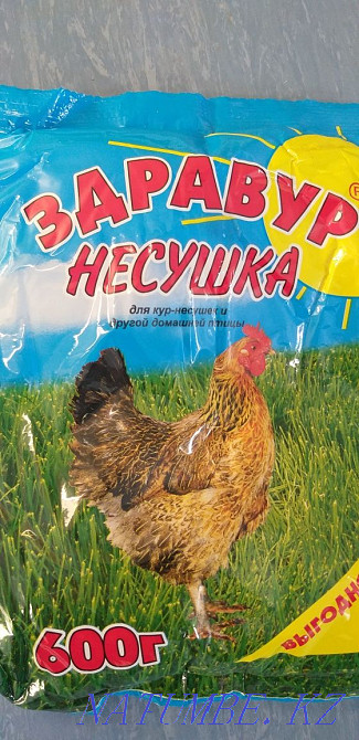 Для птиц Здравур Несушка Нура - изображение 1