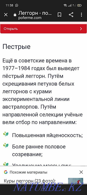 Тауықтың жұмыртқасы 250 теңге  Талғар  - изображение 2