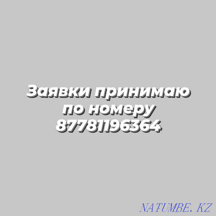 Куры Ломан браун(красные) молодки. Семей - изображение 2