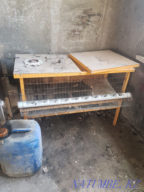 Quail cage Кайтпас - photo 2