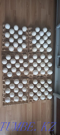Сапалы инкубациялық үйрек пен қаз жұмыртқасын көтерме сатамын  Қызылорда - изображение 1
